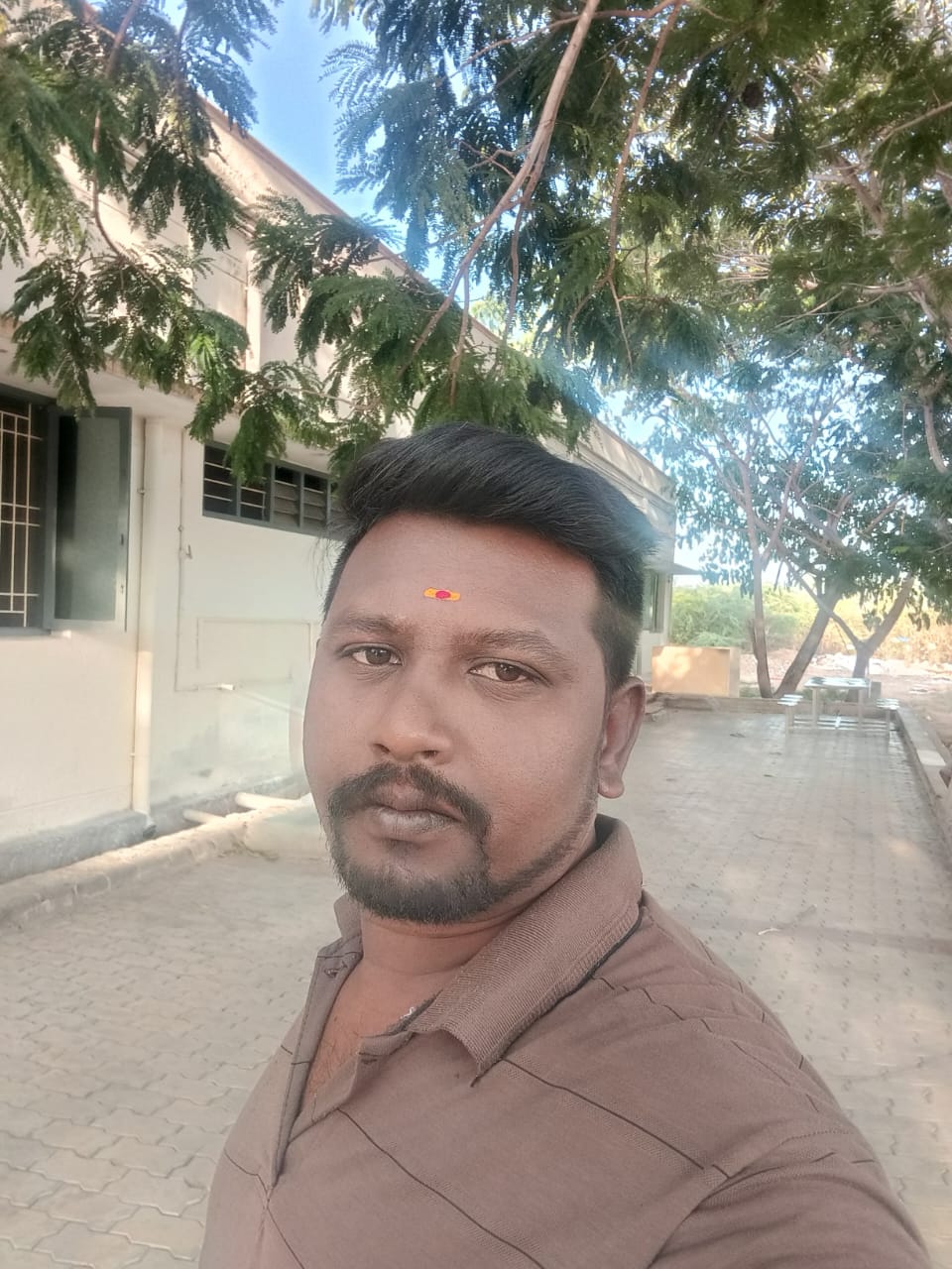 Groom Image